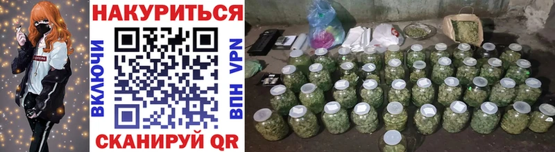 Конопля SATIVA & INDICA  наркота  Приволжск 
